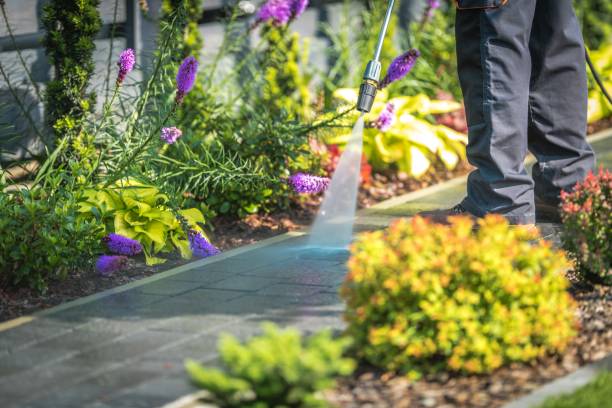 Best Gutter Cleaning  in Hanahan, SC