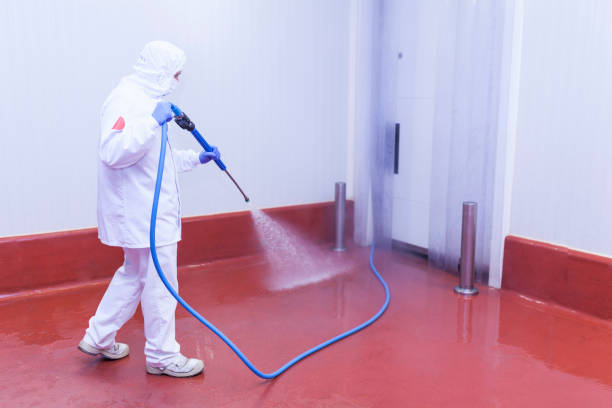 Best Boat and Dock Cleaning  in Hanahan, SC